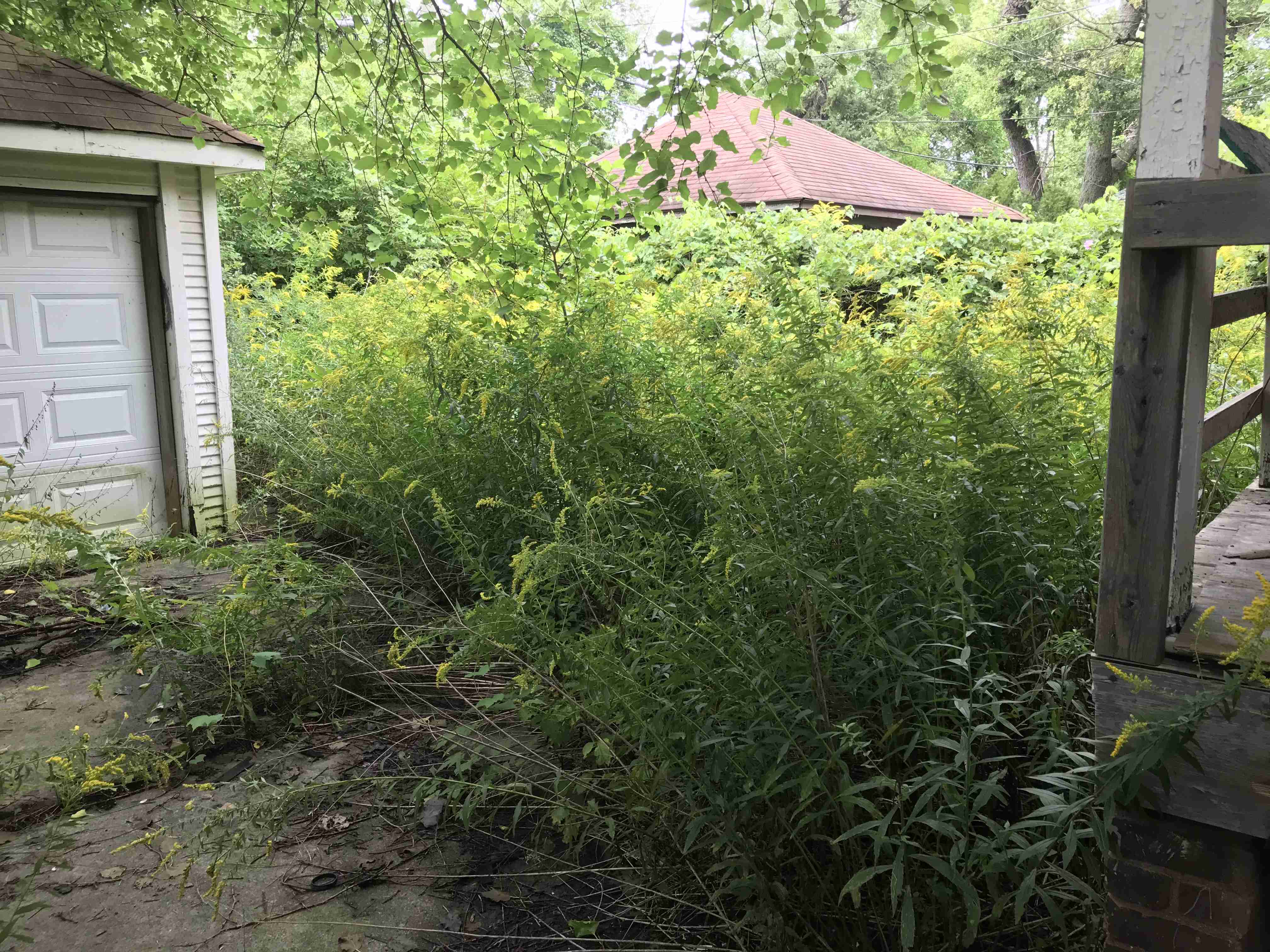 Photo Sep 09, 12 42 25 PM (1).jpg